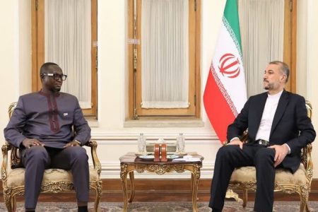 توسعه همه جانبه مناسبات با قاره آفریقا از اولویت های ایران است
