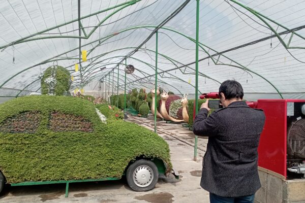 کاشت ۱۴.۵ میلیون بوته گل در مشهد برای استقبال از بهار ۱۴۰۴